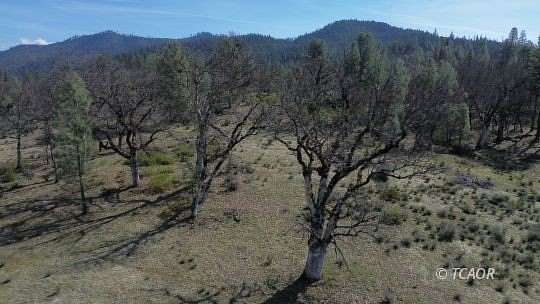 12.7 Acres of Land for Sale in Hayfork, California