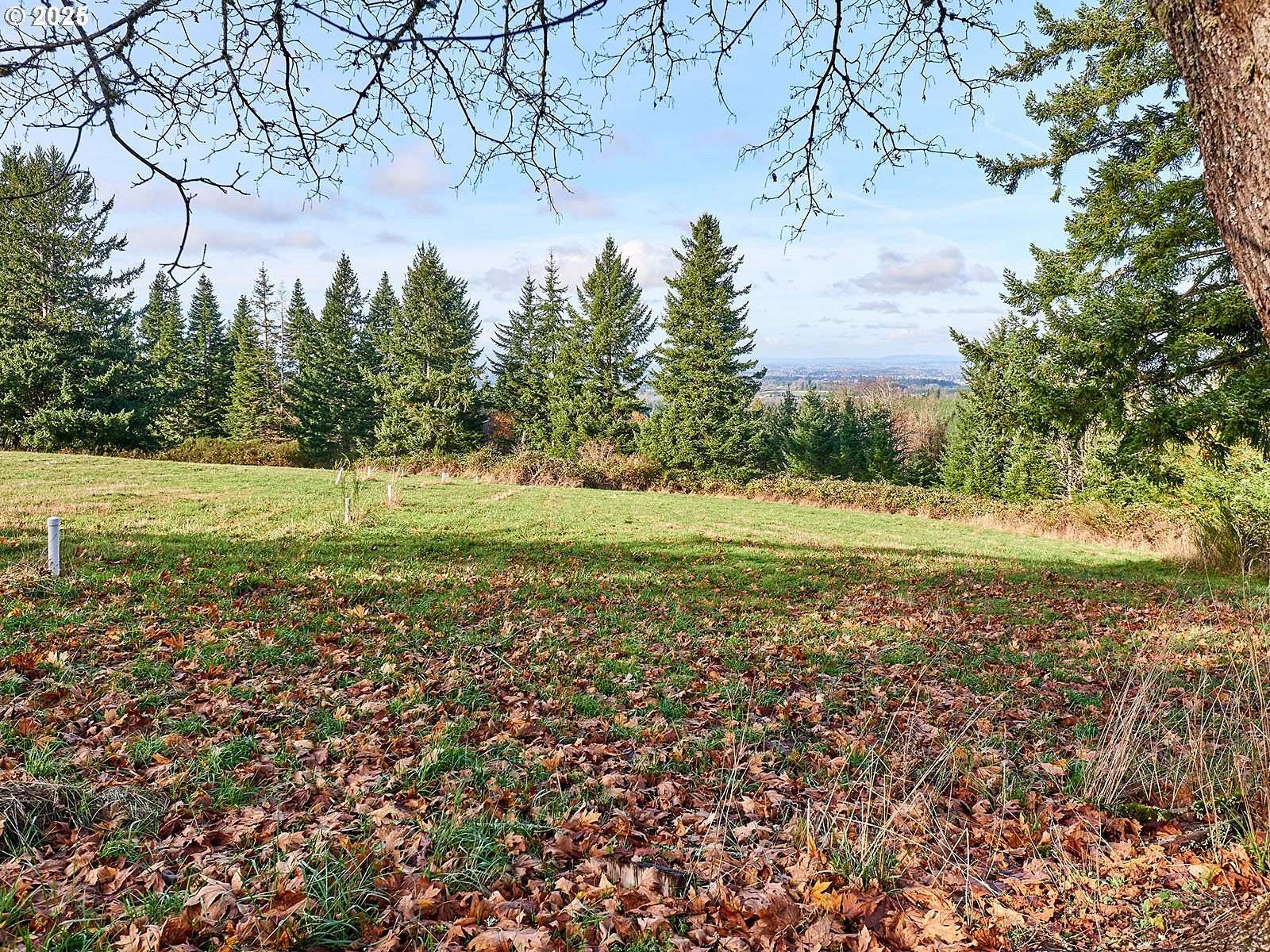 32.7 Acres of Recreational Land for Sale in Molalla, Oregon