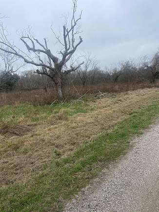 17.5 Acres of Land for Sale in Cedar Lane, Texas