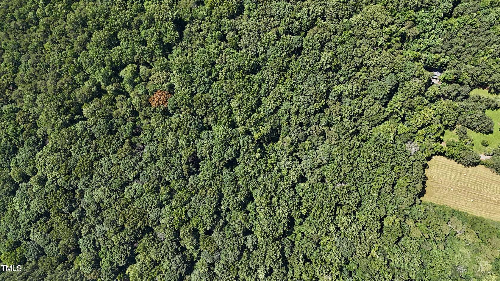 28 Acres of Recreational Land for Sale in Siler City, North Carolina