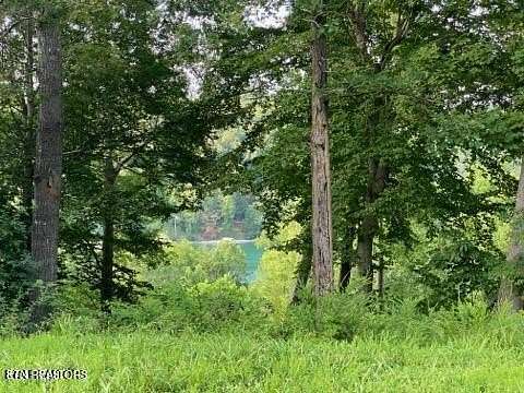 0.99 Acres of Residential Land for Sale in La Follette, Tennessee