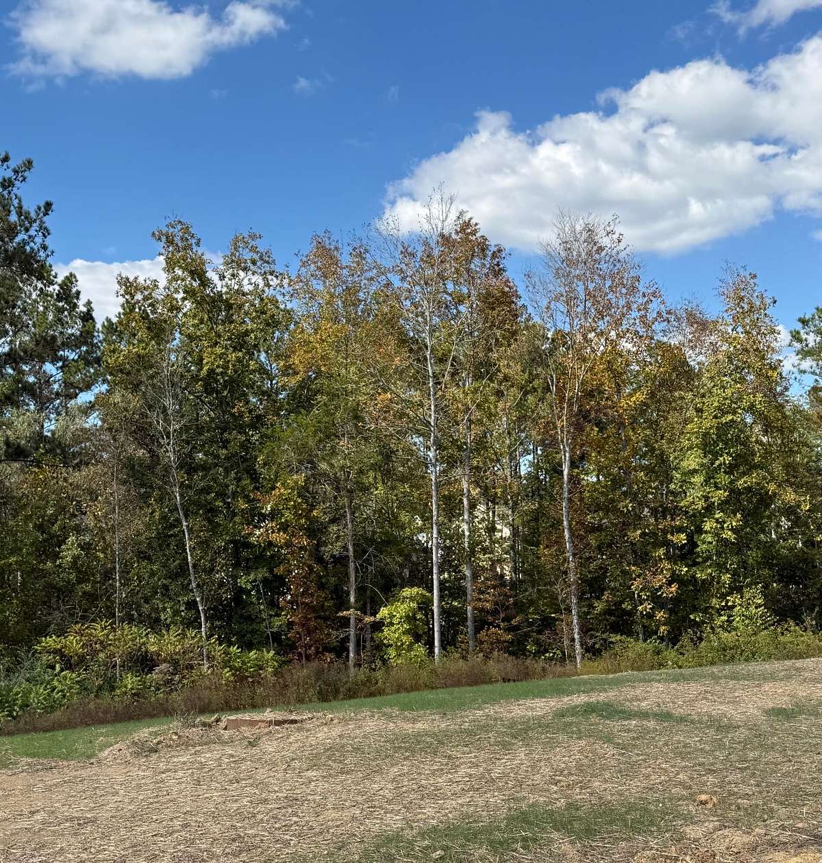 0.45 Acres of Residential Land for Sale in Cleveland, Tennessee