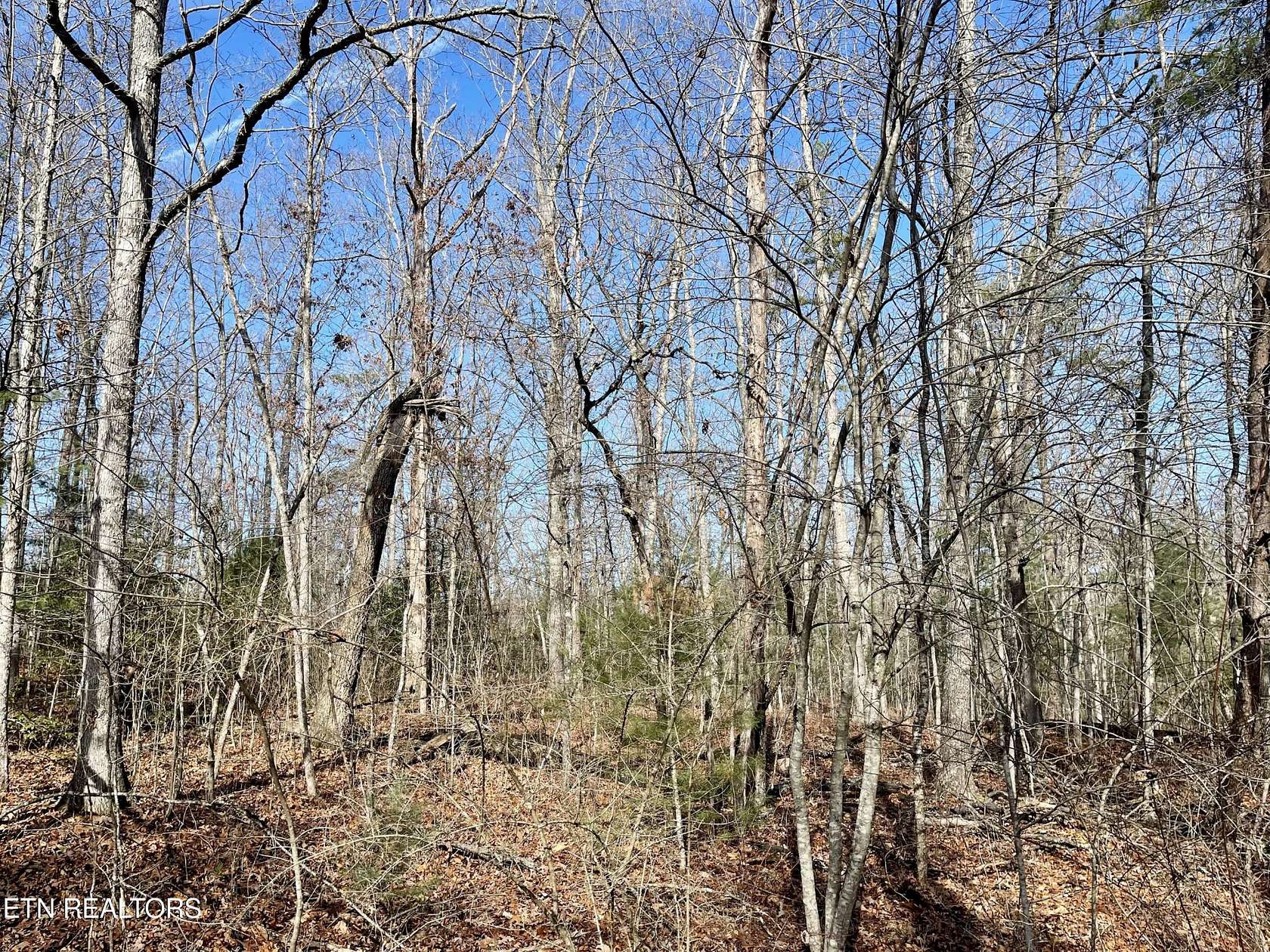 0.29 Acres of Land for Sale in Crossville, Tennessee