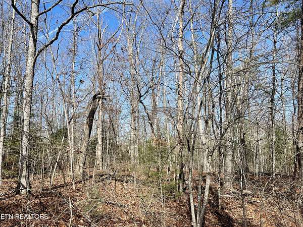 0.29 Acres of Land for Sale in Crossville, Tennessee