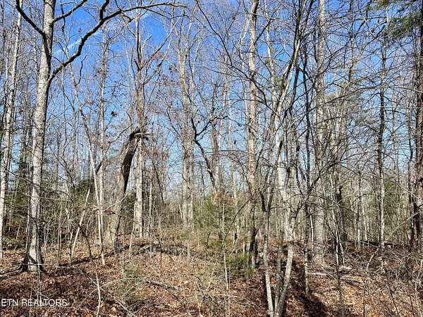 0.29 Acres of Residential Land for Sale in Crossville, Tennessee