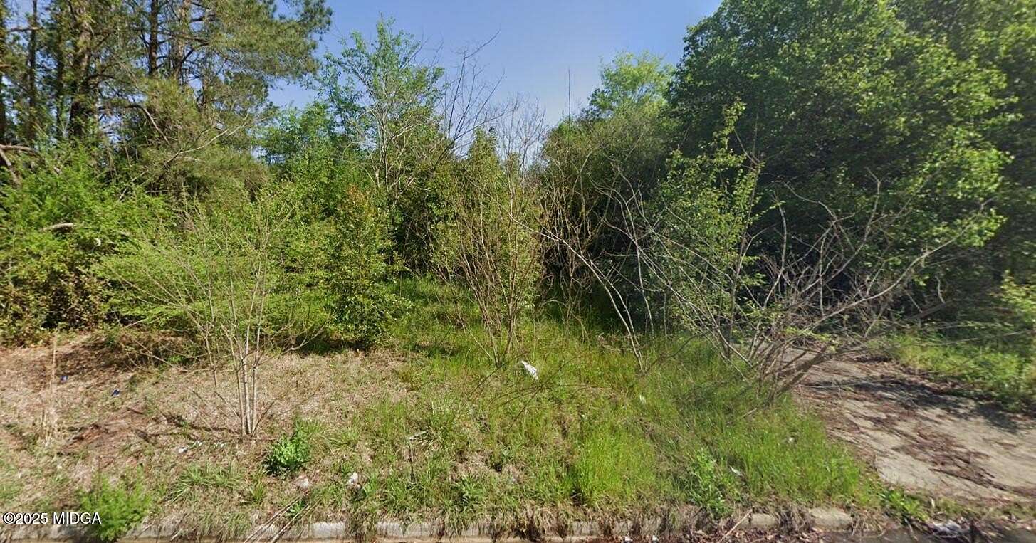 0.19 Acres of Residential Land for Sale in Macon, Georgia