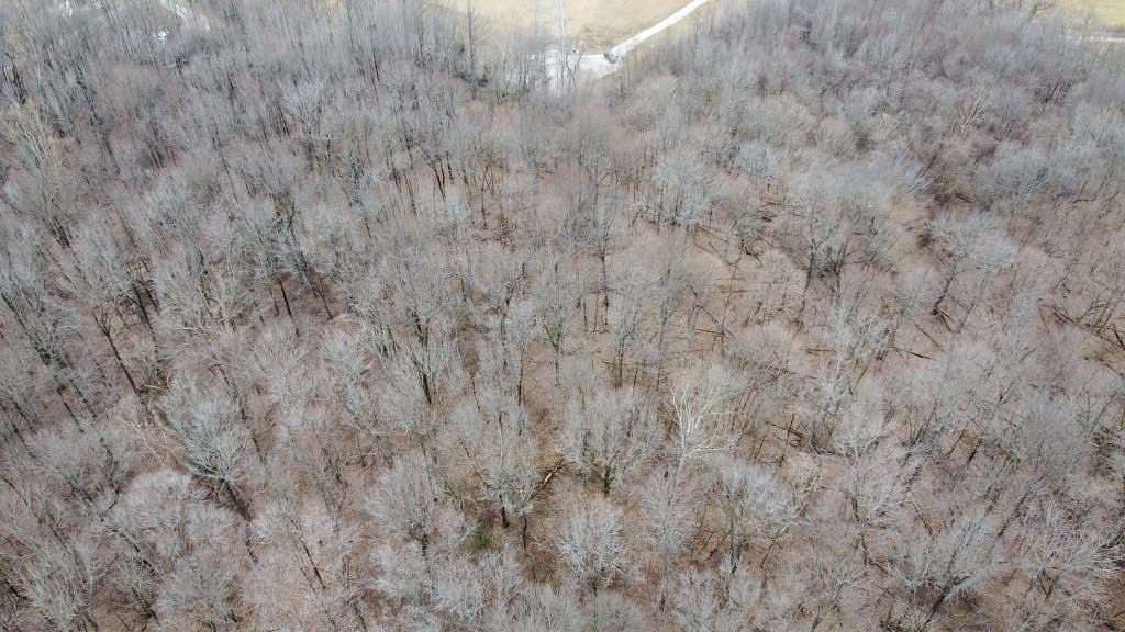 3.3 Acres of Land for Sale in Tell City, Indiana