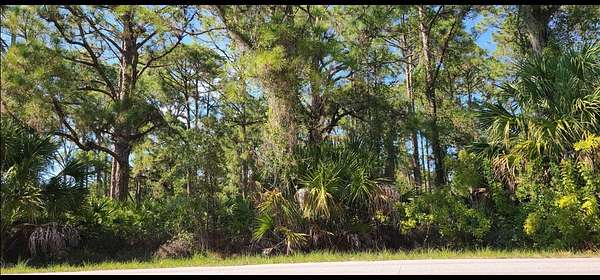 0.23 Acres of Residential Land for Sale in Port Charlotte, Florida