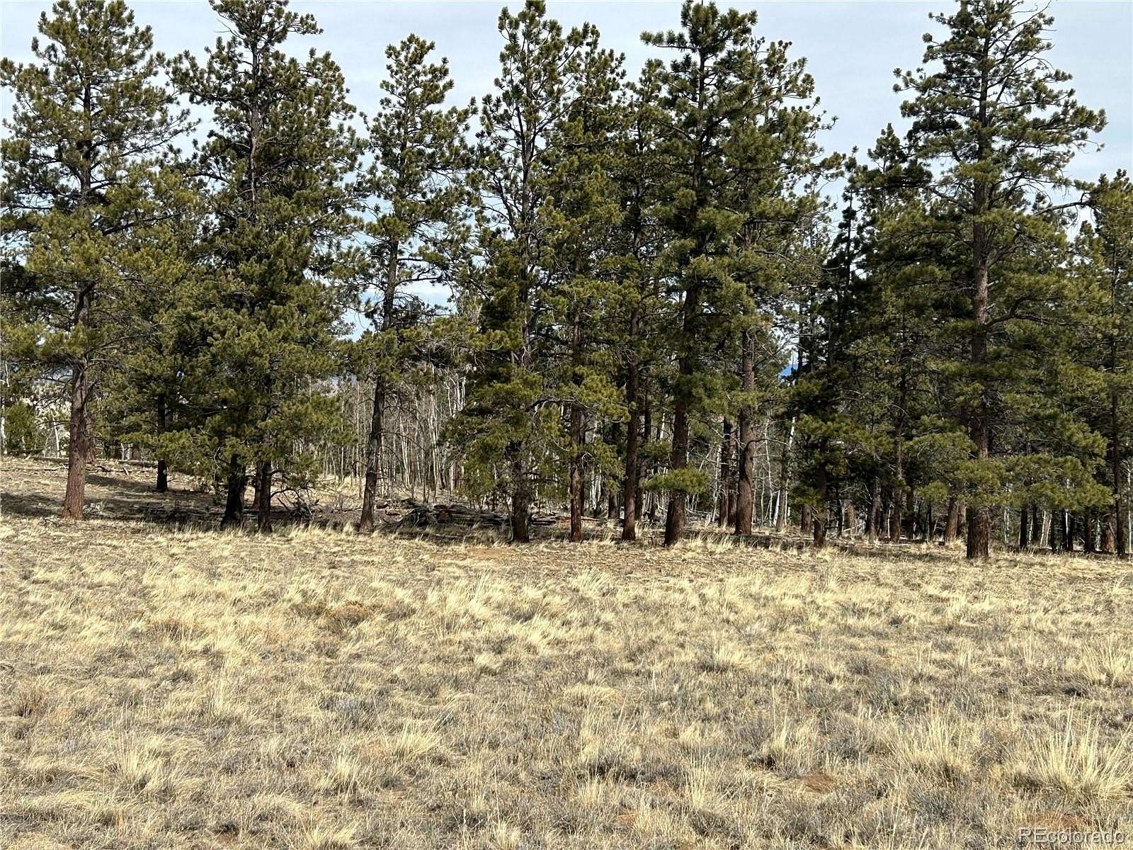2 Acres of Residential Land for Sale in Hartsel, Colorado