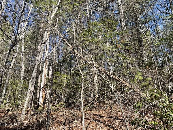 0.45 Acres of Land for Sale in Crossville, Tennessee