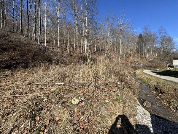 7 Acres of Land for Sale in Chapmanville, West Virginia