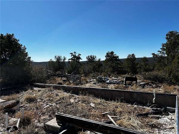 40 Acres of Land for Sale in Peach Springs, Arizona