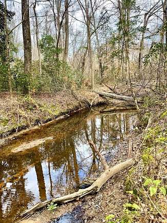 27 Acres of Recreational Land for Sale in Jayess, Mississippi