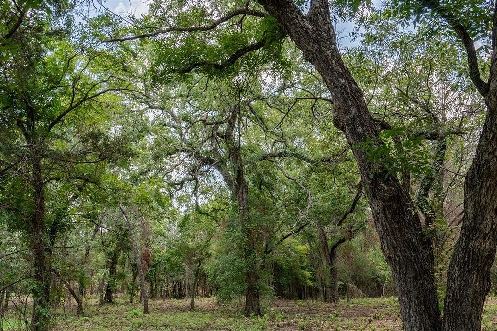 23.4 Acres of Agricultural Land for Sale in Tolar, Texas