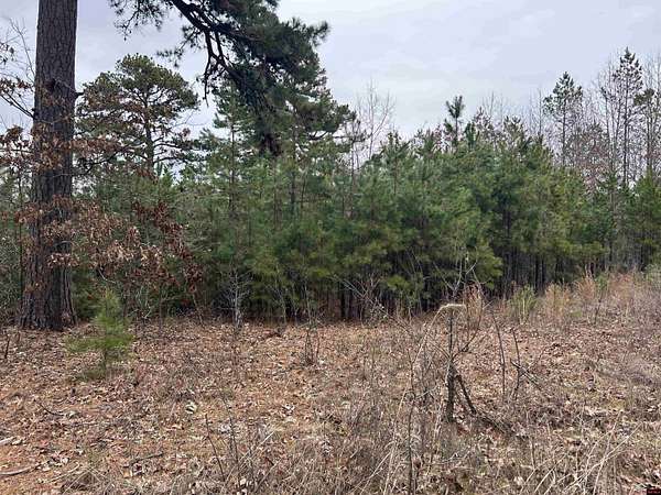 28.4 Acres of Recreational Land for Sale in Harriet, Arkansas