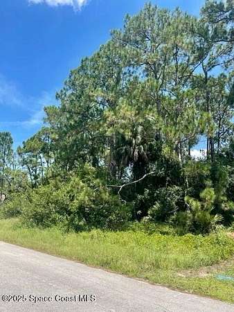 0.5 Acres of Land for Sale in Palm Bay, Florida
