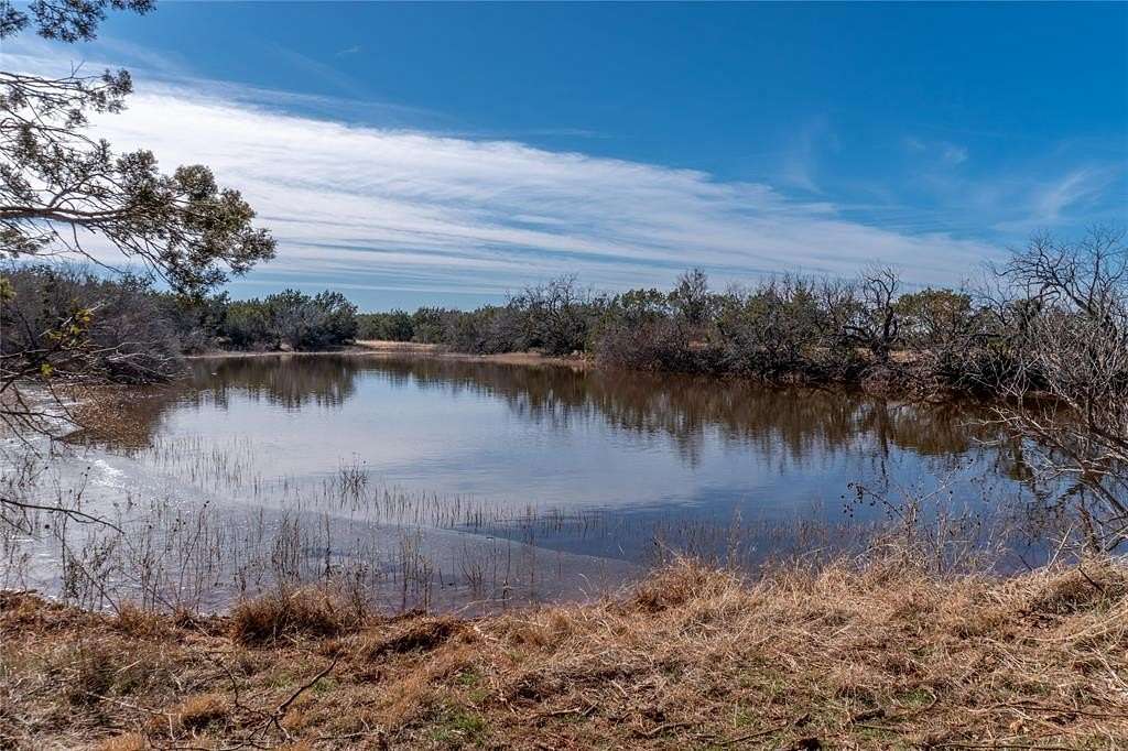 65.7 Acres of Recreational Land & Farm for Sale in Winters, Texas