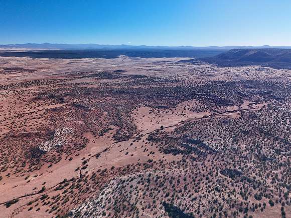 60 Acres of Recreational Land for Sale in Concho, Arizona