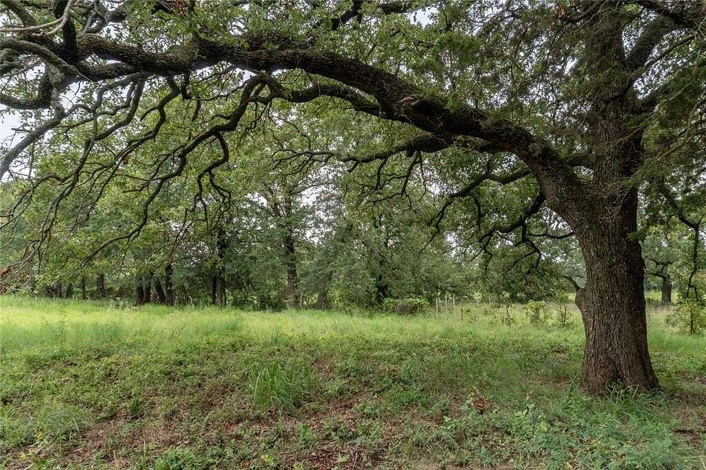 11.6 Acres of Land for Sale in Tolar, Texas