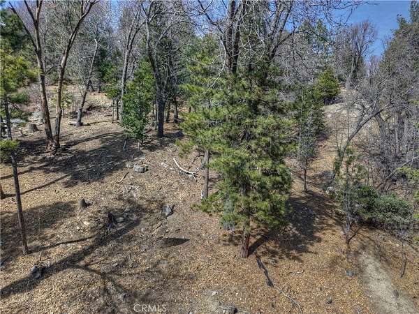 0.4 Acres of Residential Land for Sale in Lake Arrowhead, California