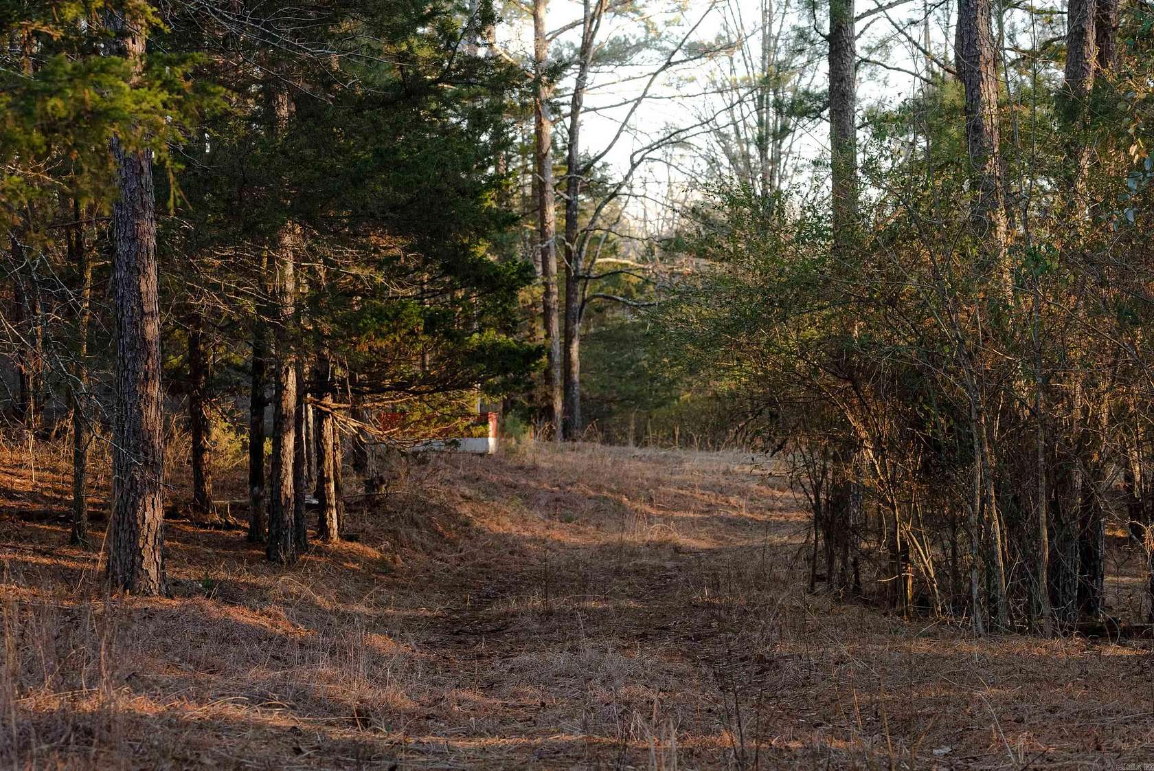 20 Acres of Recreational Land for Sale in Hatfield, Arkansas