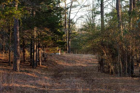 20 Acres of Recreational Land for Sale in Hatfield, Arkansas