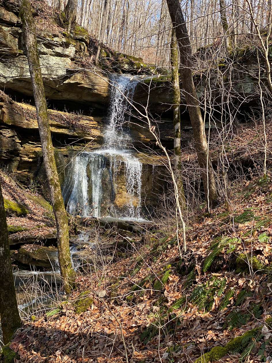 20 Acres of Land for Sale in Jamestown, Tennessee