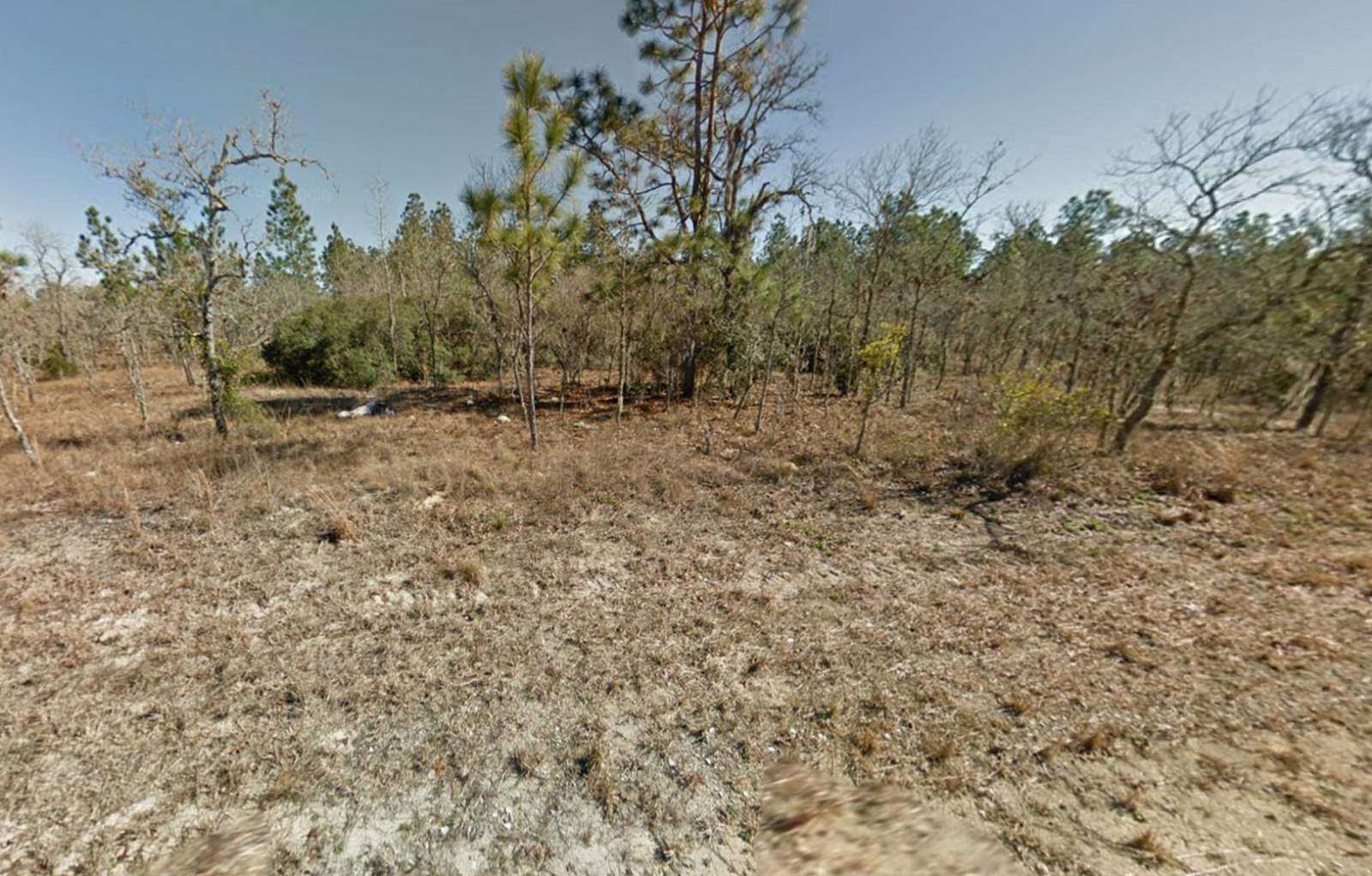 1 Acre of Residential Land for Sale in Williston, Florida