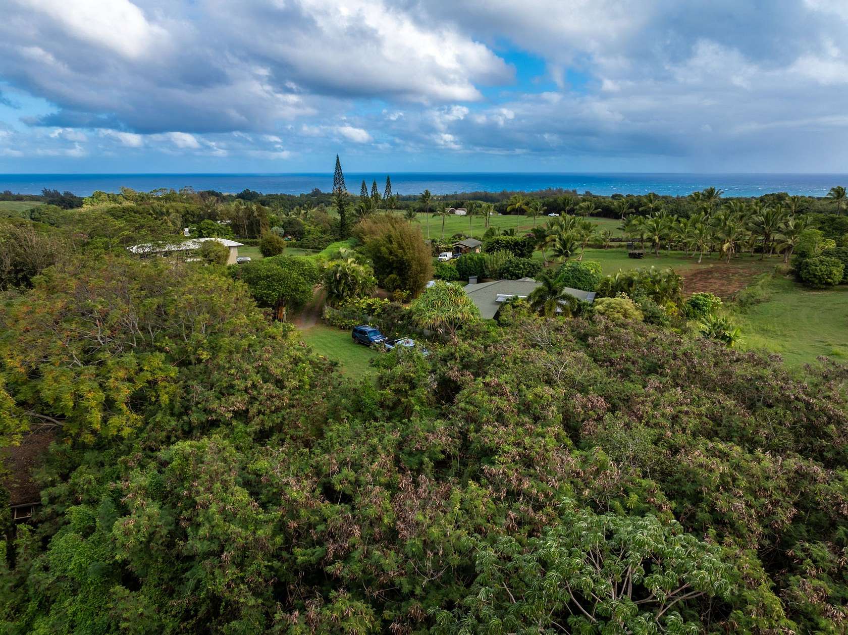 5 Acres of Land for Sale in Kilauea, Hawaii
