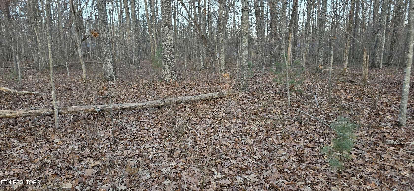 1.1 Acres of Residential Land for Sale in Crossville, Tennessee