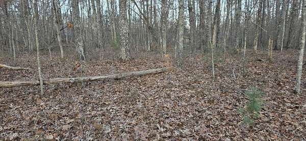 1.1 Acres of Residential Land for Sale in Crossville, Tennessee