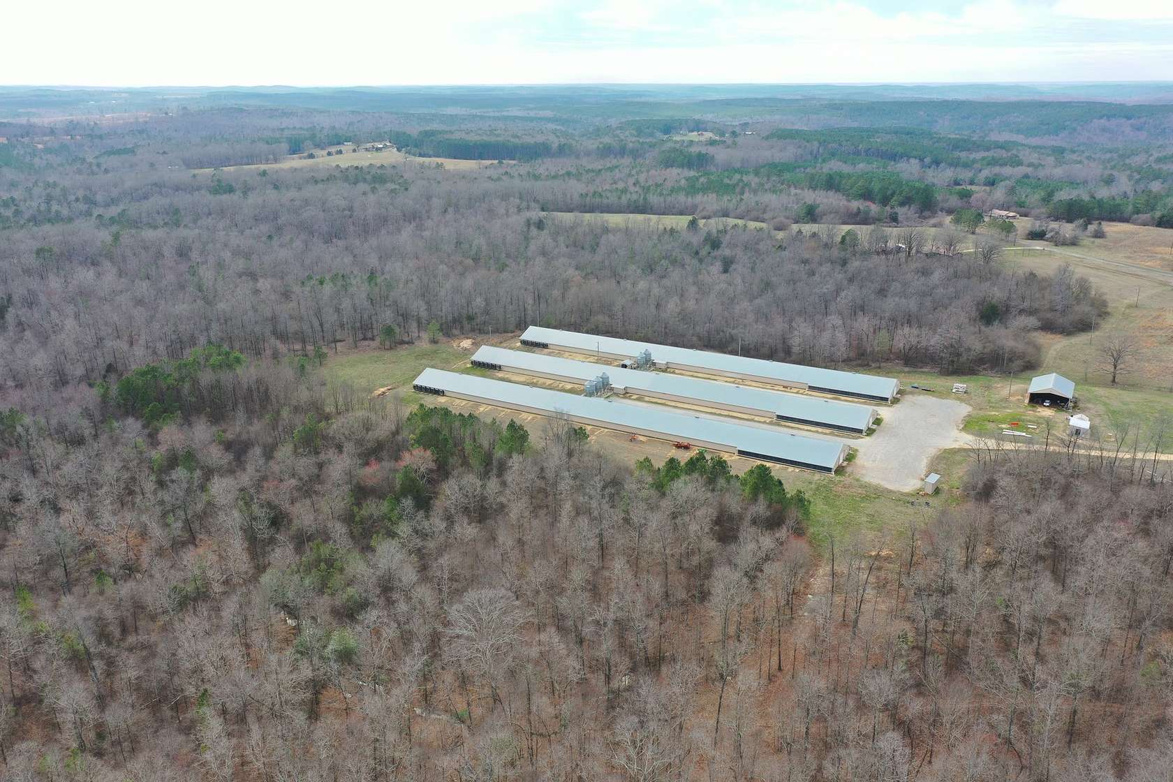 40 Acres of Agricultural Land for Sale in Hodges, Alabama