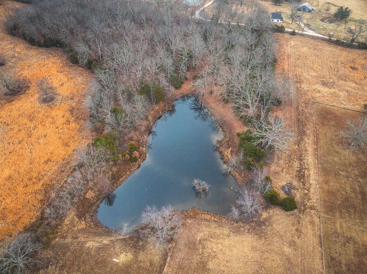 7 Acres of Land for Sale in Salem, Missouri