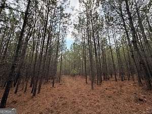 53.8 Acres of Recreational Land & Farm for Sale in Elberton, Georgia