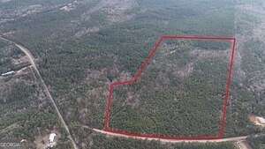 53.8 Acres of Recreational Land & Farm for Sale in Elberton, Georgia