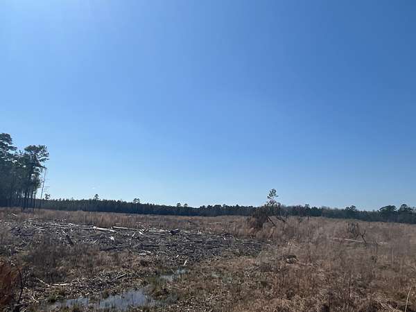 56 Acres of Land for Sale in Sarepta, Louisiana