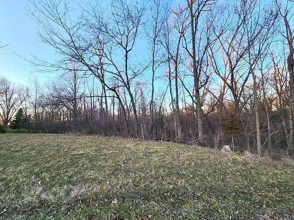 Land for Sale in Varna, Illinois