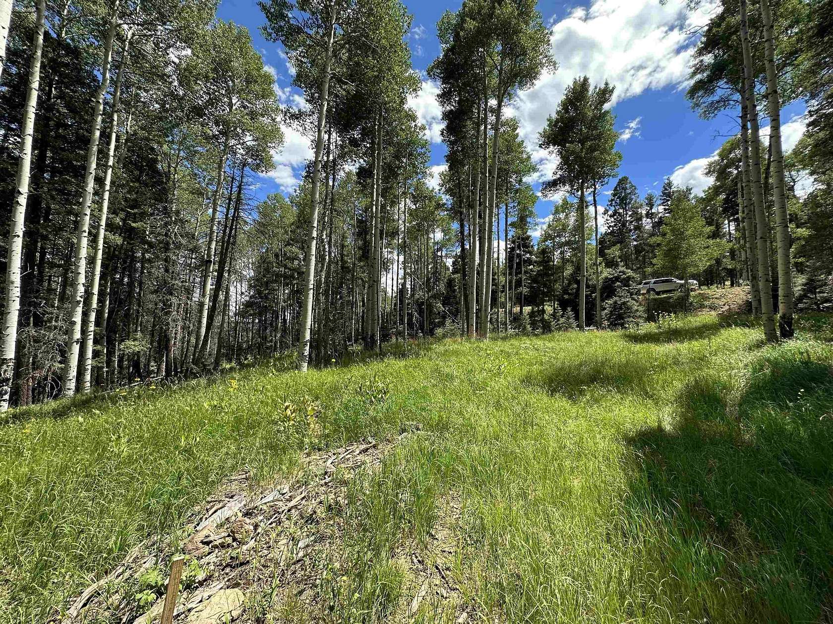 1 Acre of Land for Sale in Angel Fire, New Mexico