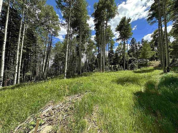 1 Acre of Land for Sale in Angel Fire, New Mexico