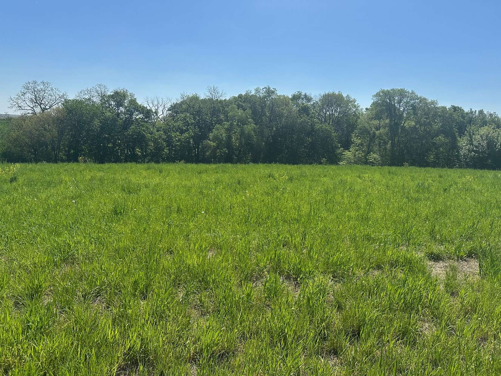 2.85 Acres of Residential Land for Sale in Glenwood, Iowa