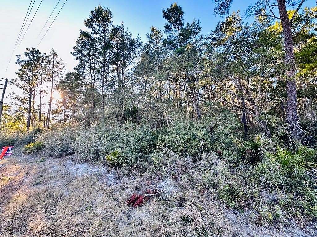 1 Acre of Residential Land for Sale in Carrabelle, Florida