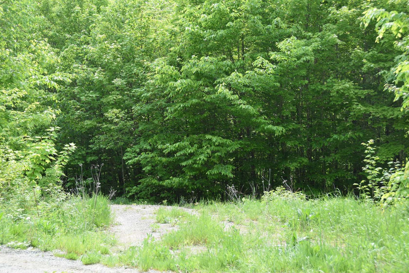 4.45 Acres of Residential Land for Sale in Kingfield, Maine