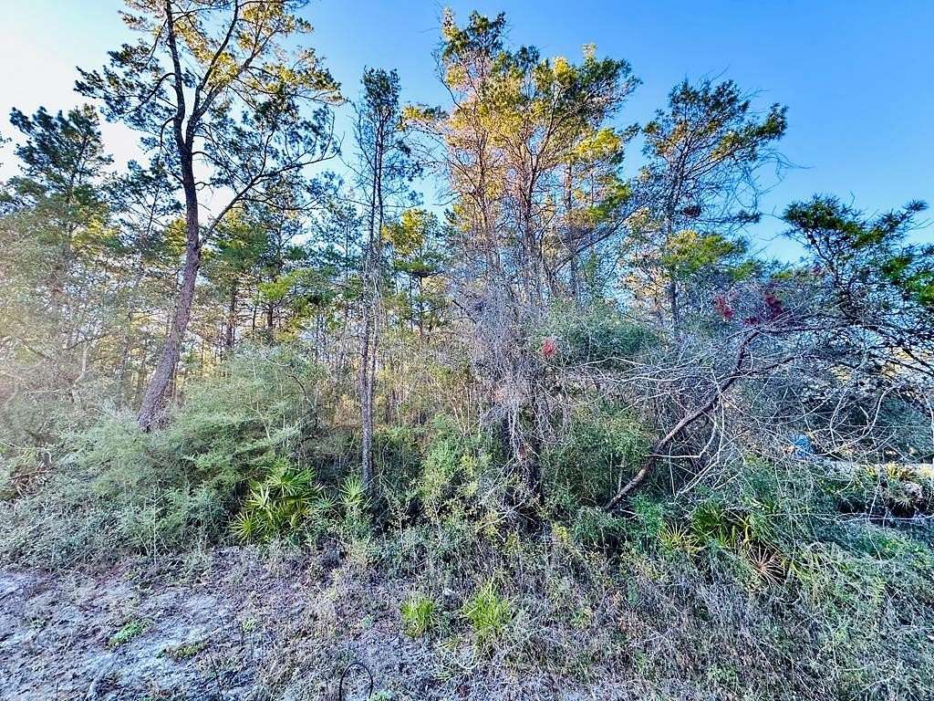 1 Acre of Residential Land for Sale in Carrabelle, Florida