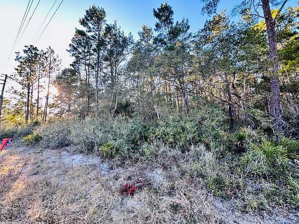 1 Acre of Residential Land for Sale in Carrabelle, Florida