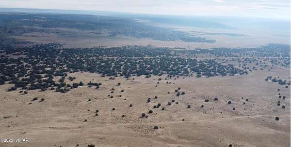 75 Acres of Recreational Land for Sale in St. Johns, Arizona