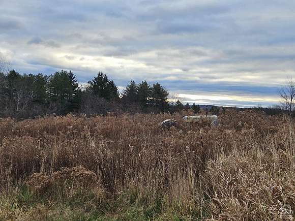 43.9 Acres of Recreational Land for Sale in Amsterdam, New York