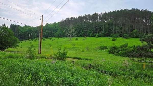 11.6 Acres of Recreational Land for Sale in Coudersport, Pennsylvania