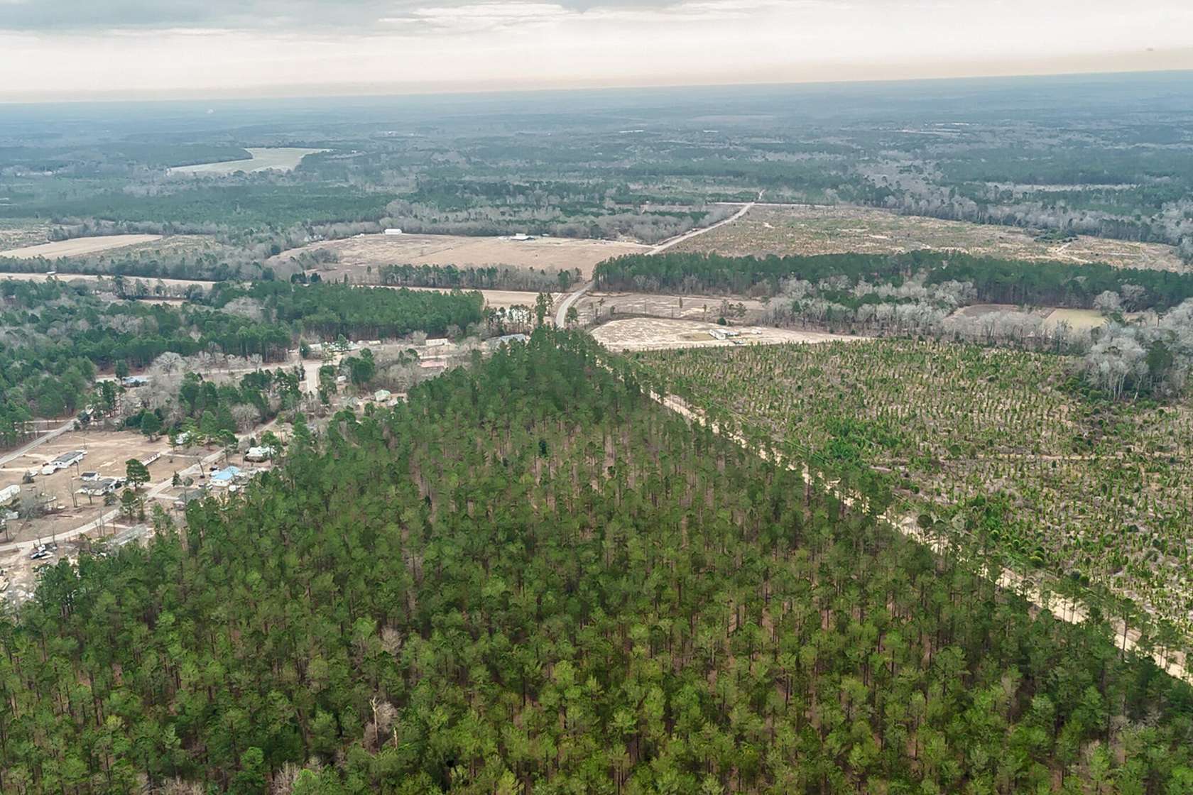38.17 Acres of Recreational Land for Sale in Wagener, South Carolina
