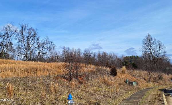 0.98 Acres of Land for Sale in Johnson City, Tennessee