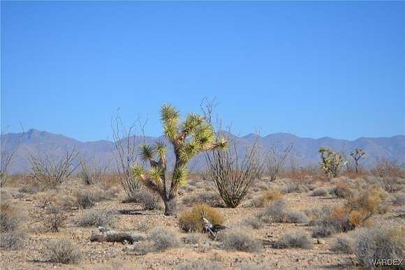 2.35 Acres of Residential Land for Sale in Yucca, Arizona